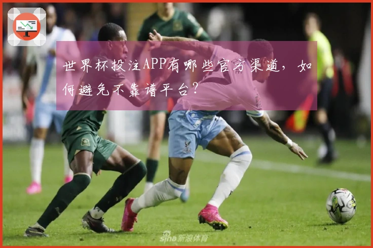 世界杯投注APP有哪些官方渠道，如何避免不靠谱平台？