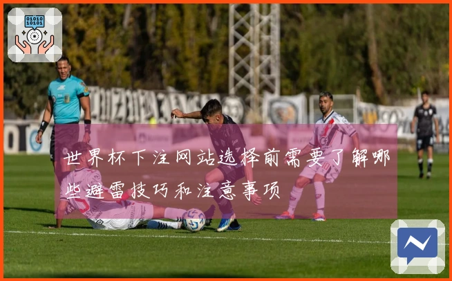世界杯下注网站选择前需要了解哪些避雷技巧和注意事项
