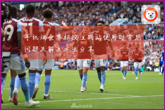 手机端世界杯投注网站使用时常见问题及解决方法分享