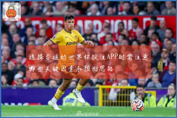 选择合适的世界杯投注APP时需注意哪些关键因素和预测思路